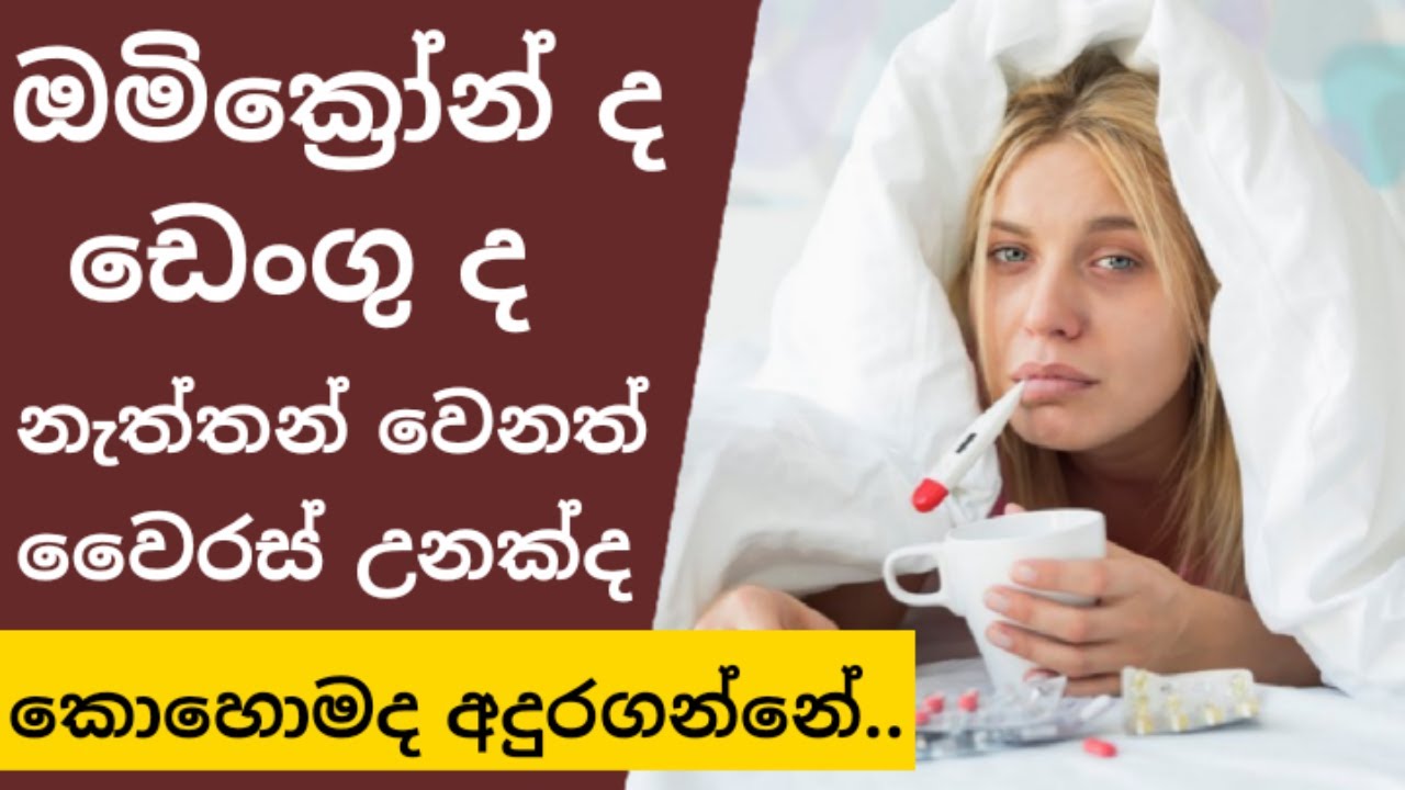 How to find out if it's Omicron, Dengue or any other virus | Omicron vs Dengue vs any other virus