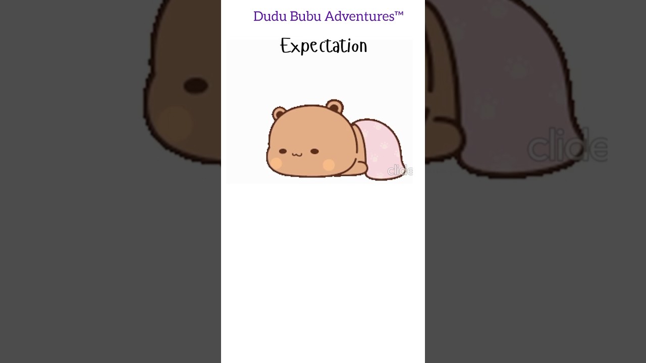 Expectation vs Reality 🤣🐻 #shorts #bubududufunnyvideo #bubuanddudu