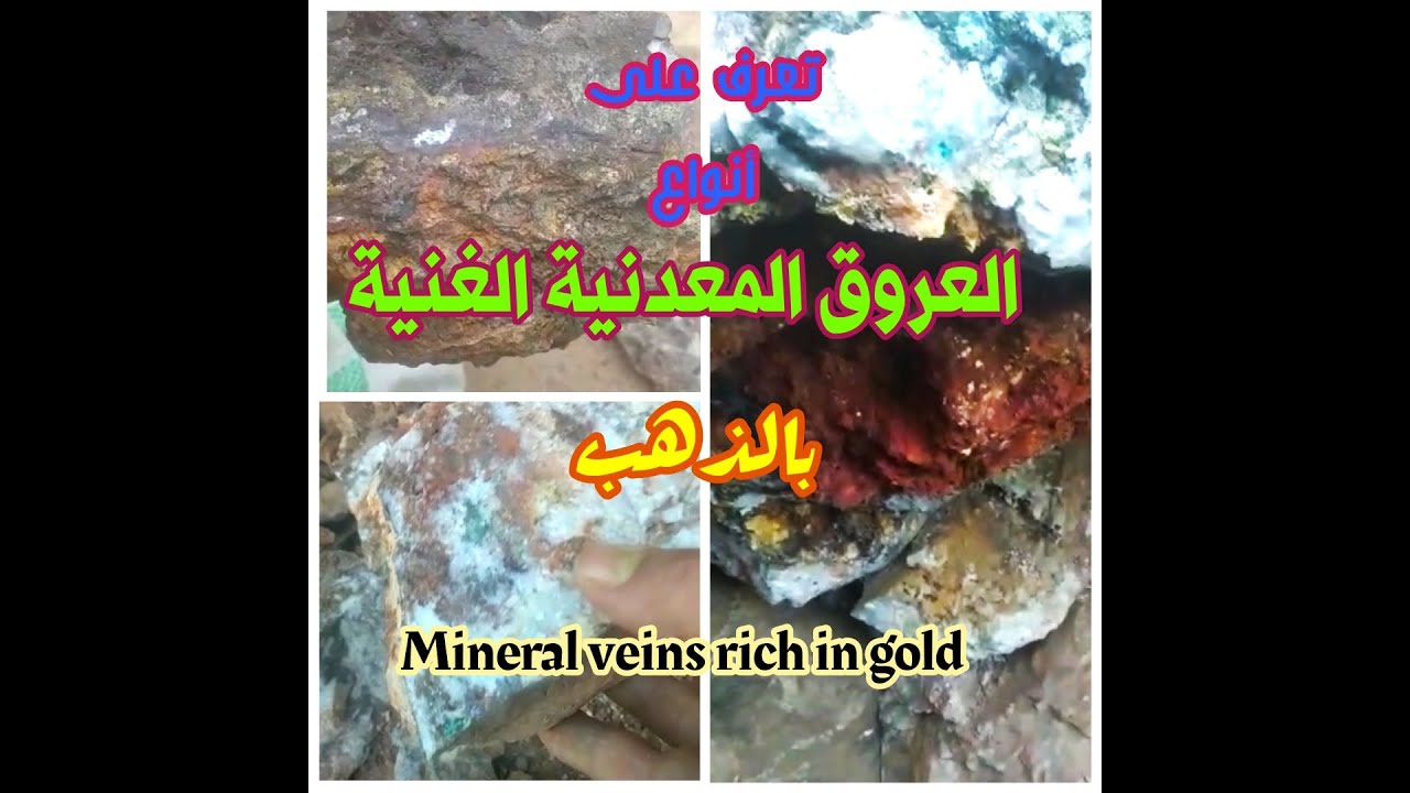 العروق المعذنية التي بها ذهب Mineral veins rich in gold