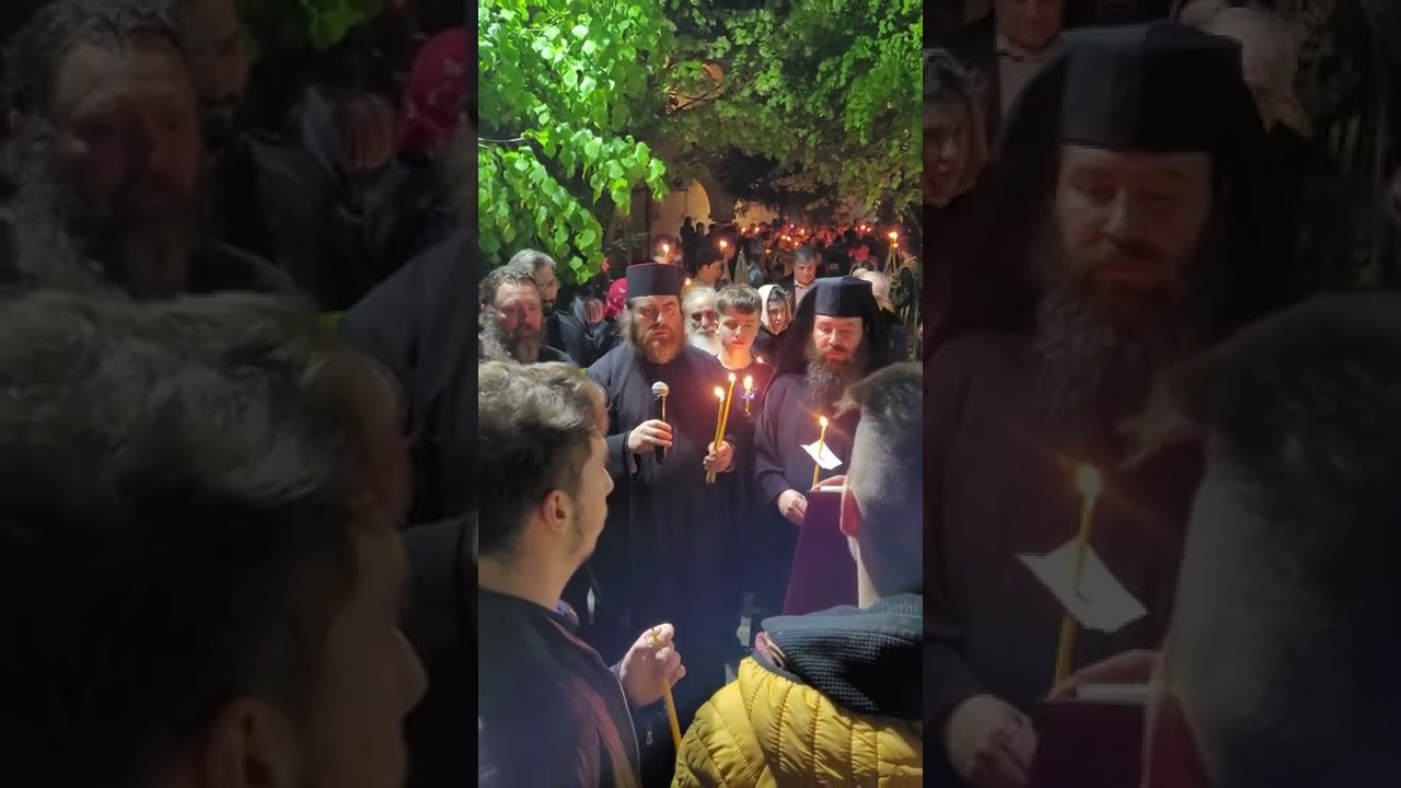 Mergi la cer și te așează. A.M.D București