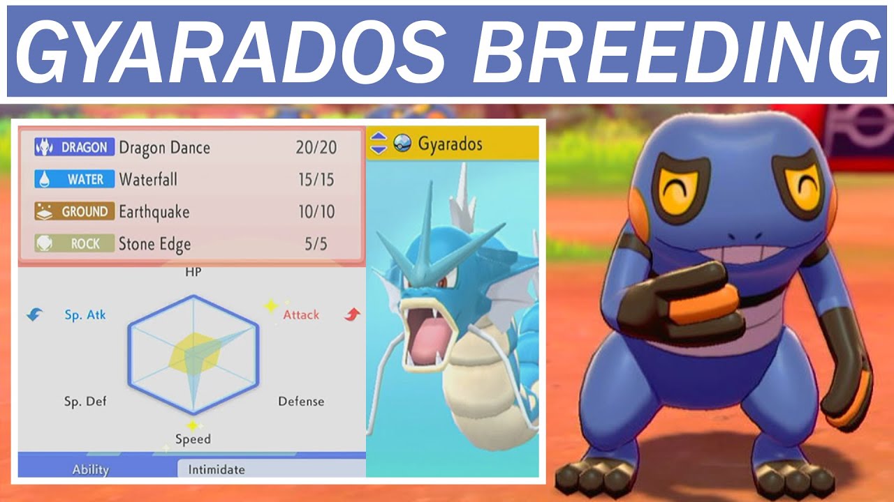 Why You Should Breed a Gyarados - 