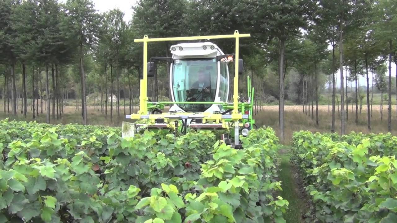 Gearmore Collard Vineyard Equipment- Leaf Remover-Trimmer-Preprunner