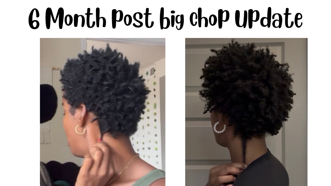 6 Month Post Big Chop Update + Length Check