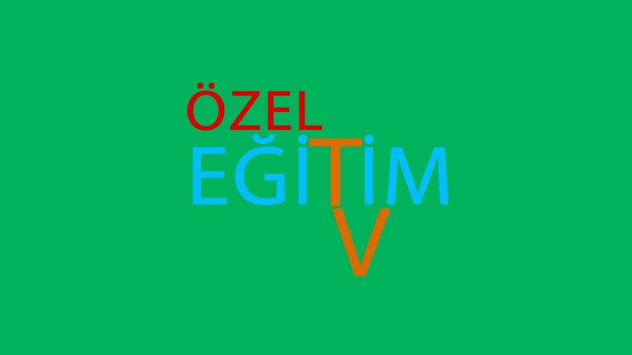 ÖZEL EĞİTİM HİZMETLERİ YÖNETMELİĞİ İNCELEME