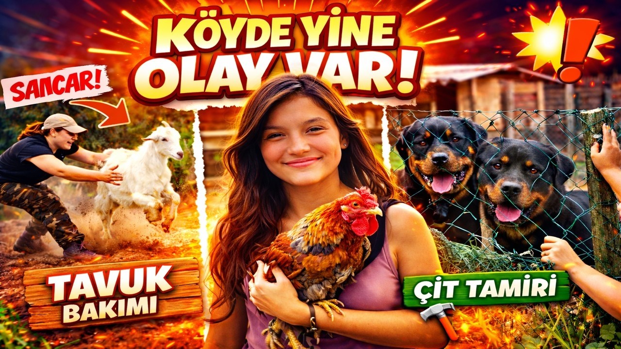 Köyde Bir Gün: Tavuk Bakımı, Keçi Kovalamaca ve Çit Tamiri Şehirden Köye Kaçış