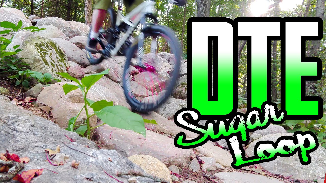 Sugar Loop // DTE Energy Foundation Trail // CBYR // Chelsea Michigan