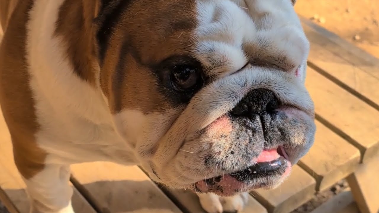 В последнее время мы были в режиме нон-стоп, поэтому неспешное утро с ребятами было именно тем, ч...