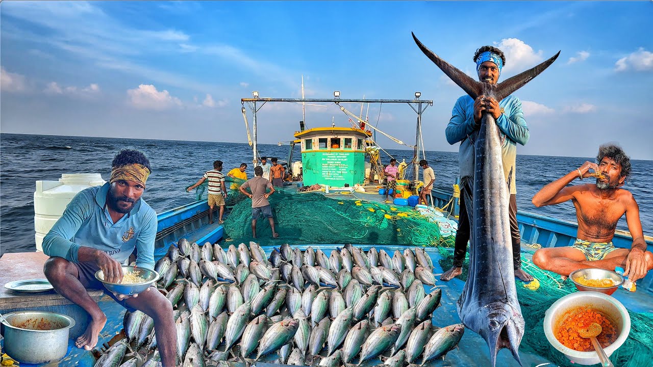 Day-06 || Extreme Deep Sea Fishing &ndash; Monster Catch in Open Ocean!