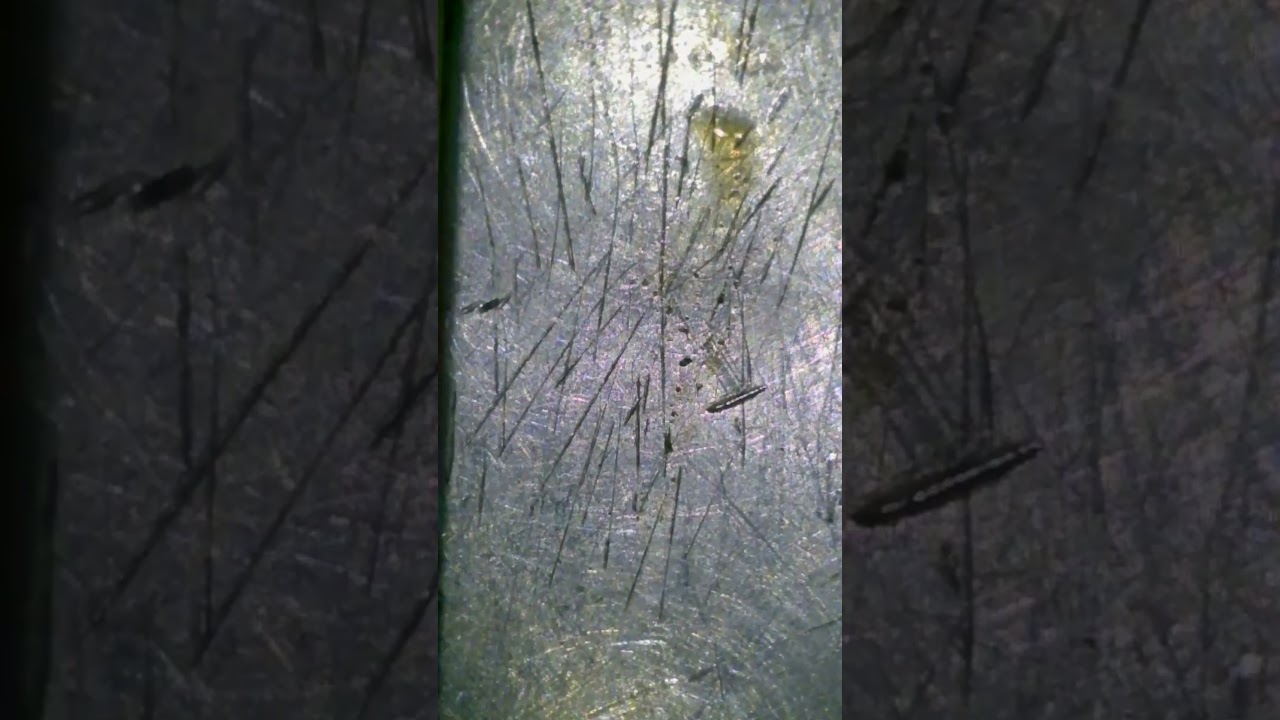 Troca de bot&atilde;o power S3 Neo.@gledsoncellassistenciatecnica#smartphone #consertarcelular