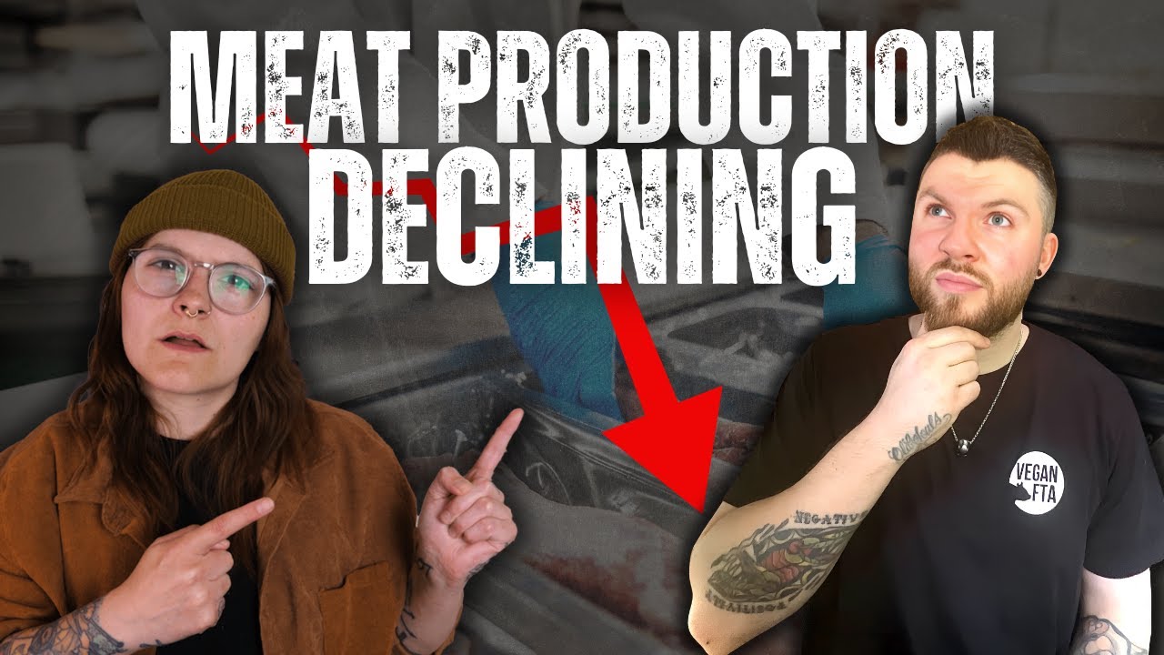 Vegan Perspective: UK Meat Production Decreases for First Time in a Decade