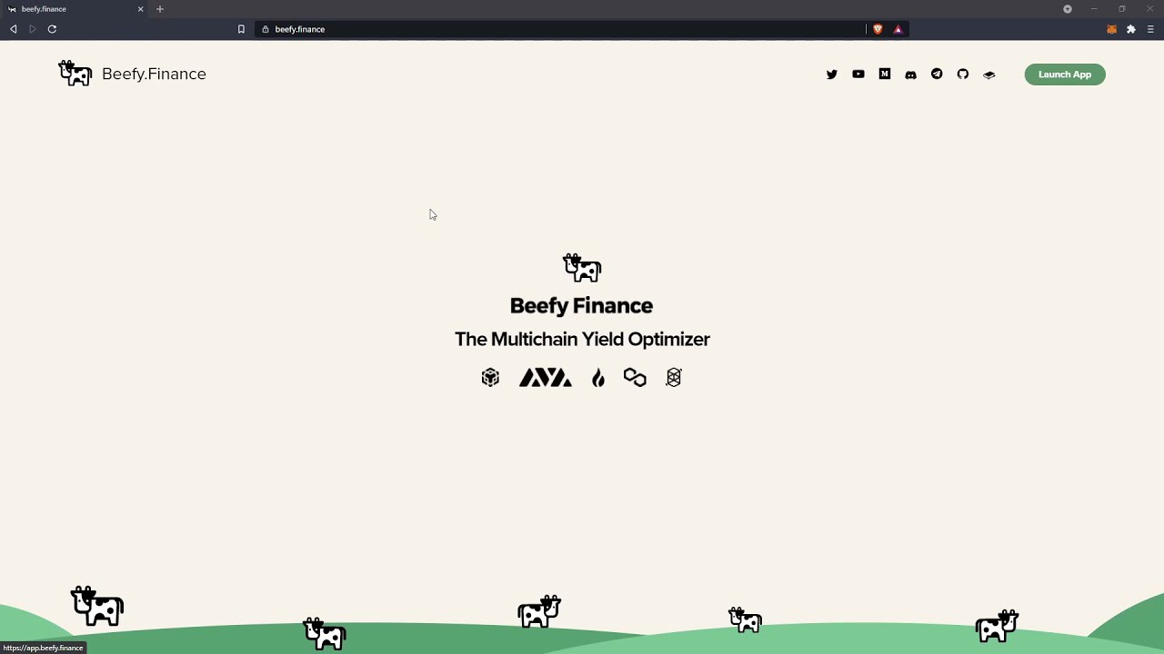 Beefy Finance overview