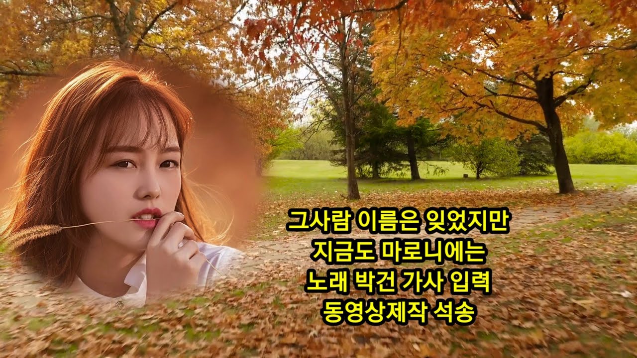추억의가요 지금도 마로니에는 피고 있겠지 그 사람 이름은 잊었지만 가사 박건 동영상제작 석송