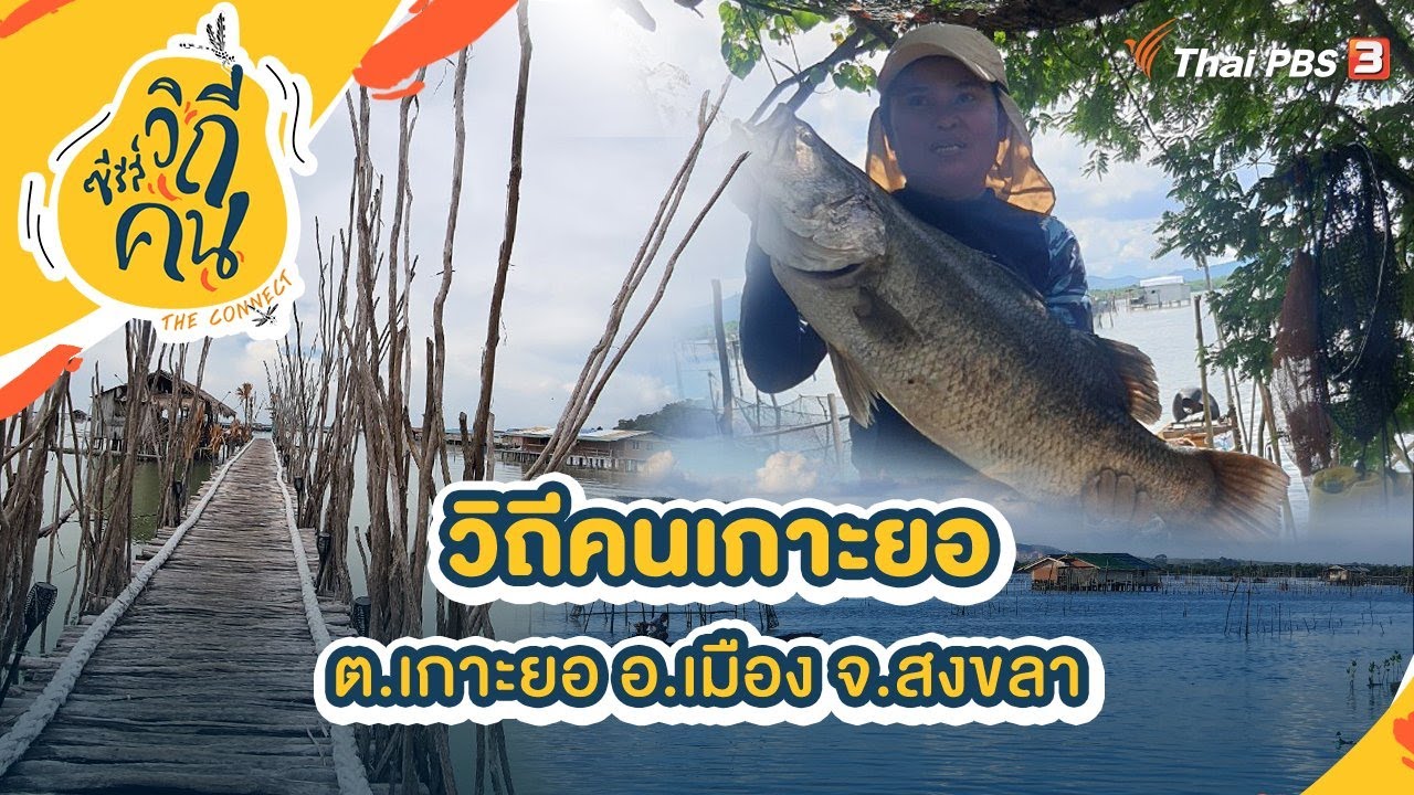 วิถีคนเกาะยอ ต.เกาะยอ อ.เมือง จ.สงขลา | ซีรีส์วิถีคน