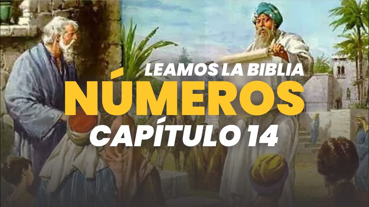 🎧 BIBLIA EN AUDIO 