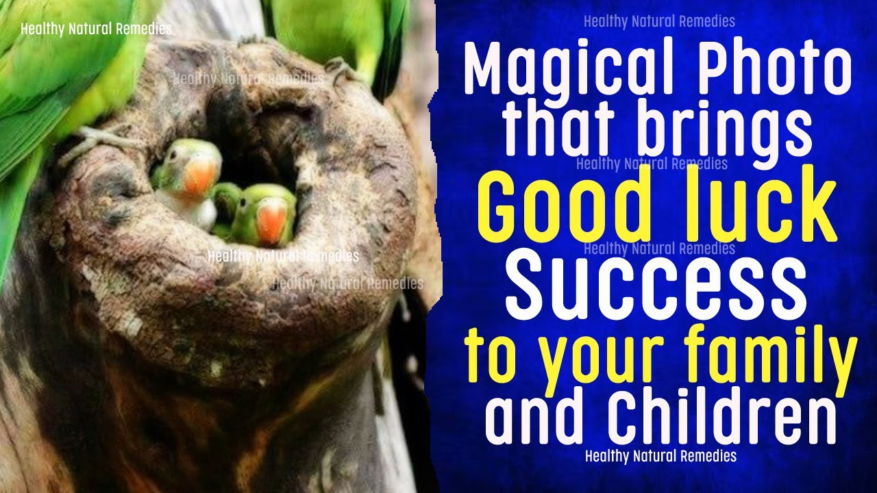 Magical Photo that brings Good luck, Success to your Family and Children | Attract money and Success