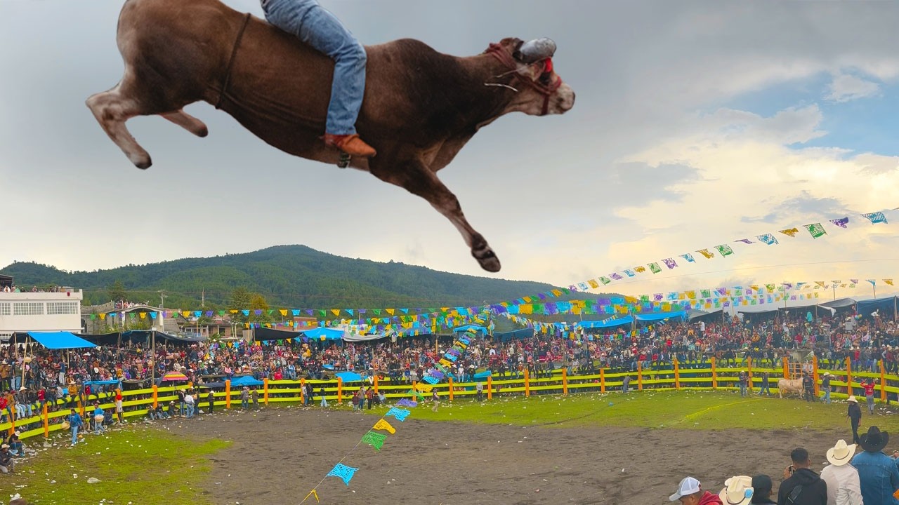 LLEGO RAYITO -KIKITO -MASCOTA -REYES Y LOBOS VS TOROS DE H3H Y R. SAN MIGUEL!! JARIPEO QUINCEO 2025