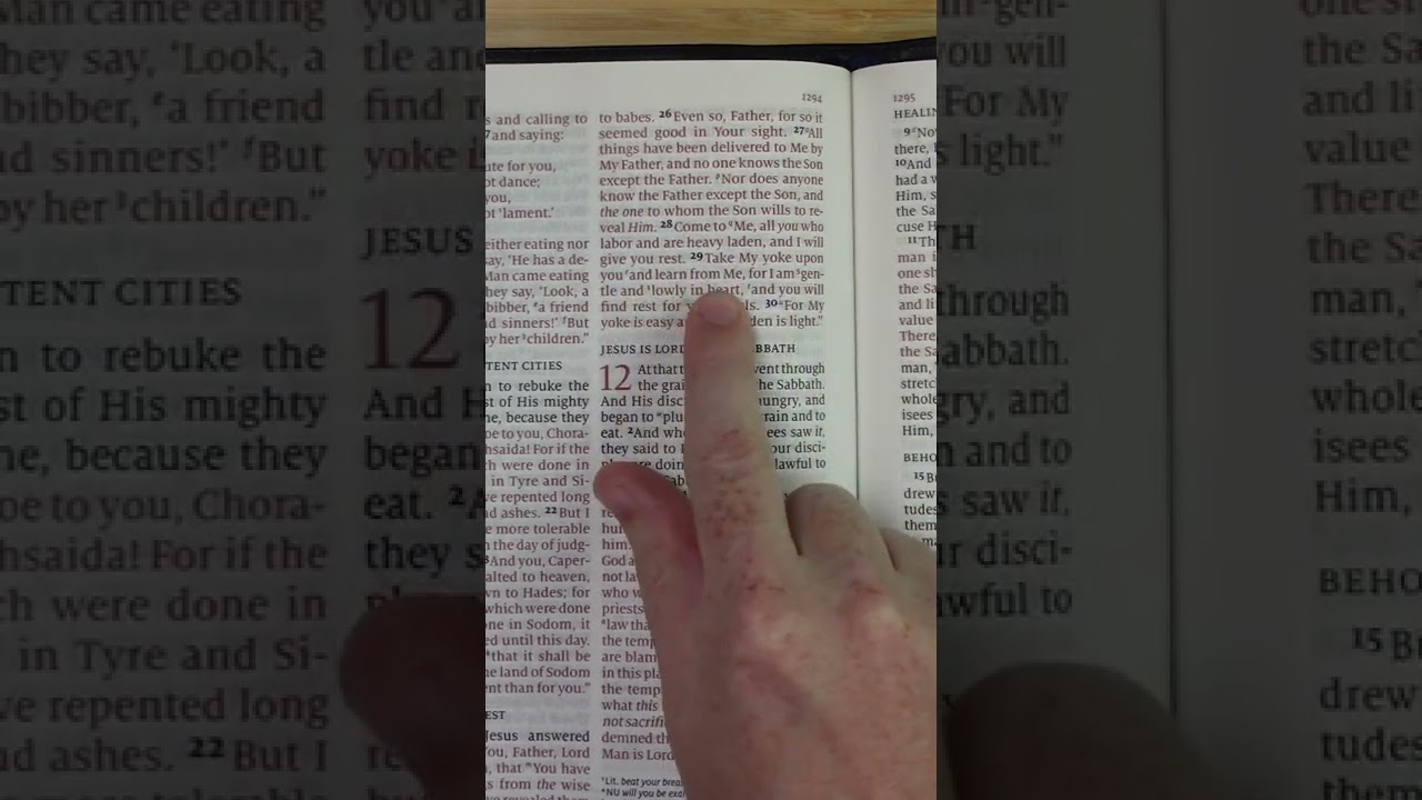Матфея 11:28-29 &bull; Библейский стих дня