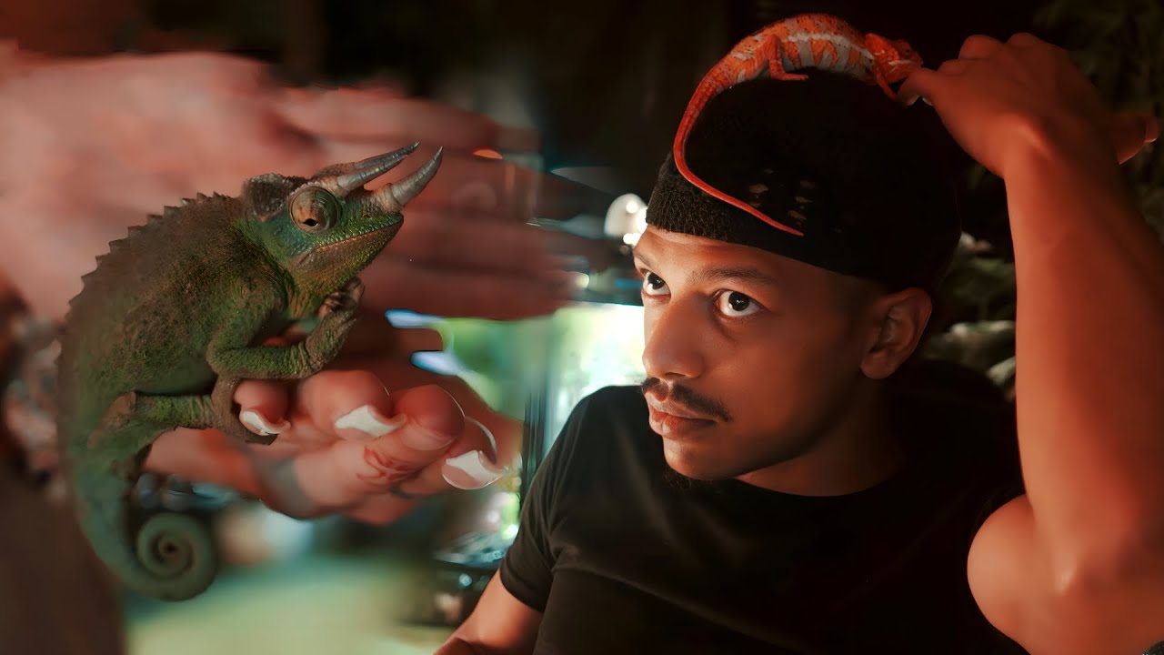 Jace Chilling With His Reptiles..