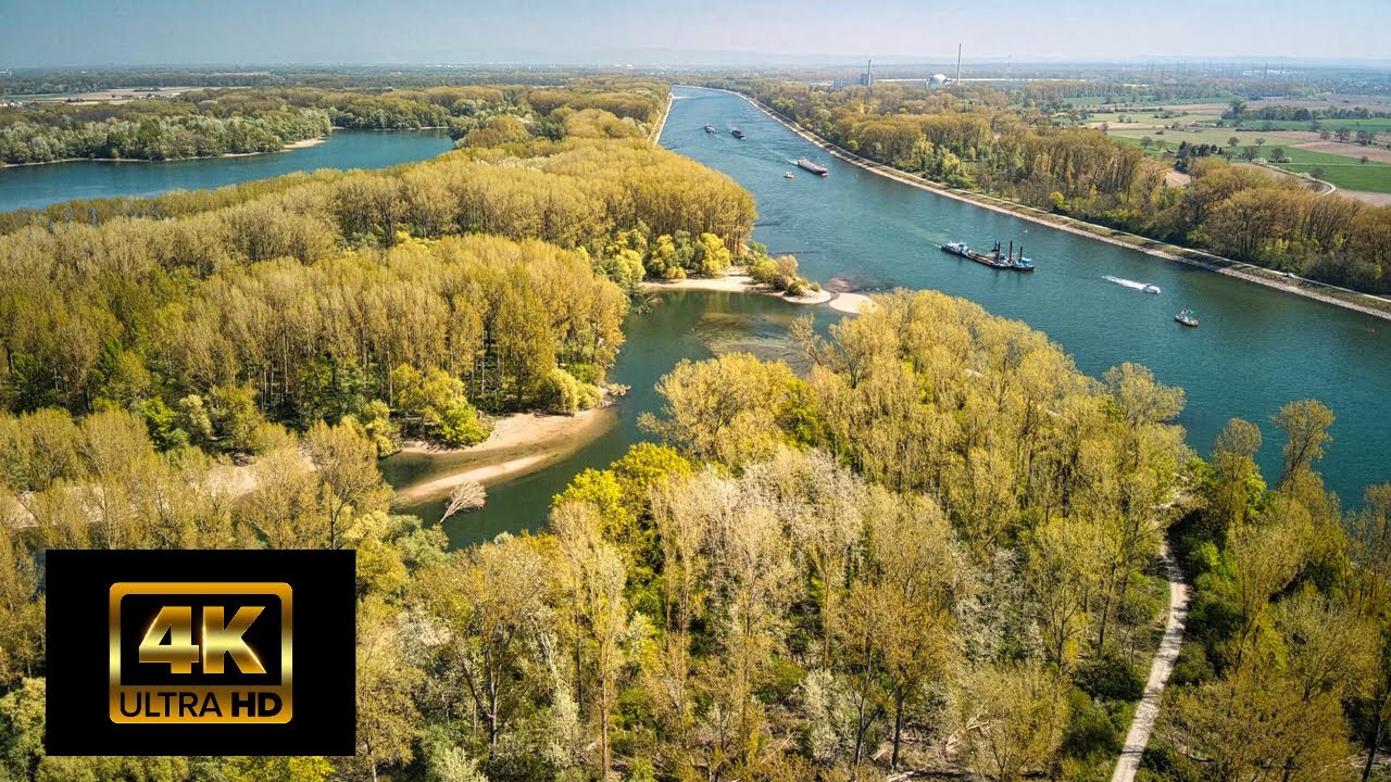 Frühlingserwachen in den Rheinauen bei Germersheim, Air 2