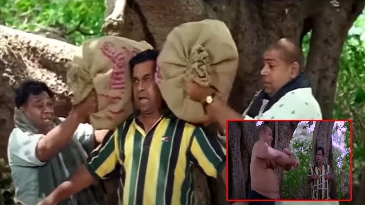 Brahmanandam Monkey Comedy Scene 😂 | Brahmi Back To Back Comedy Scenes | Full Laugh Riot | iDream