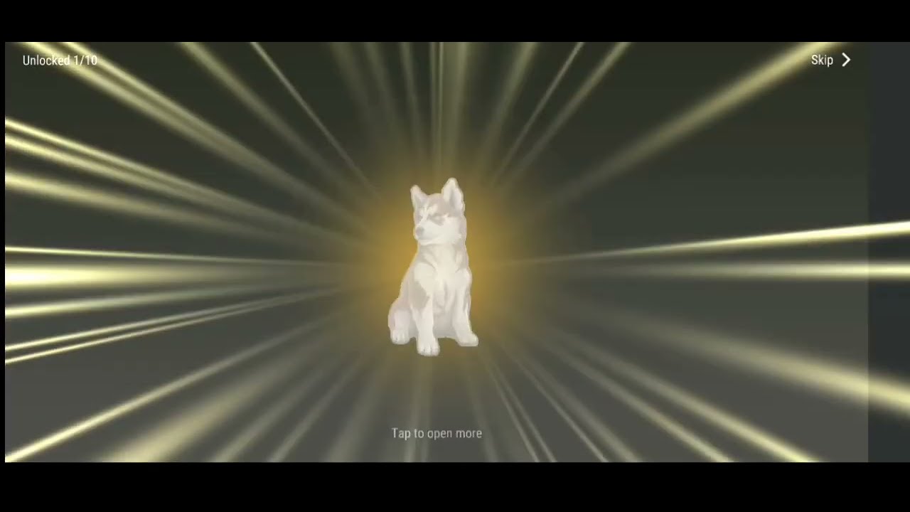 LDOE How to use Crossbreed of Rare dogs and how to get dog friend Last Day on Earth review