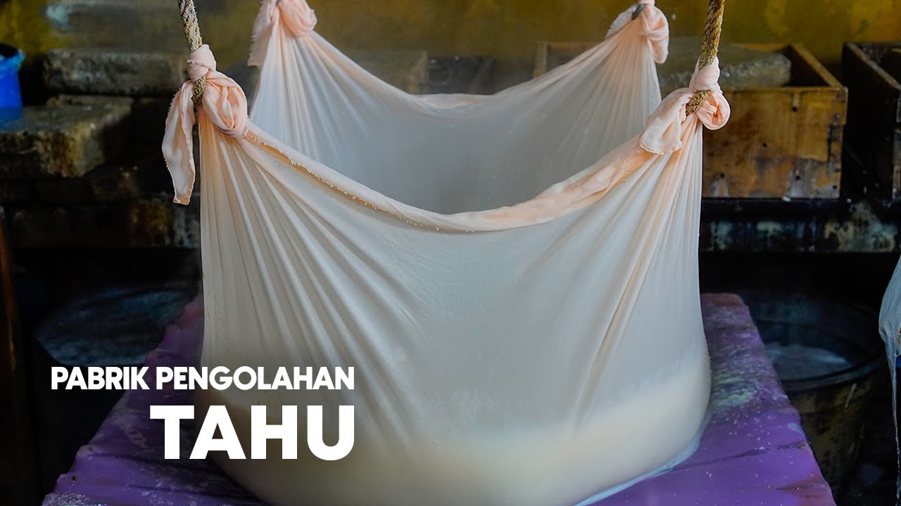 Tembus 500 KG Sehari ! Cara & Proses Pengolahan Kedelai Menjadi TAHU Dari Pabrik Tradisional