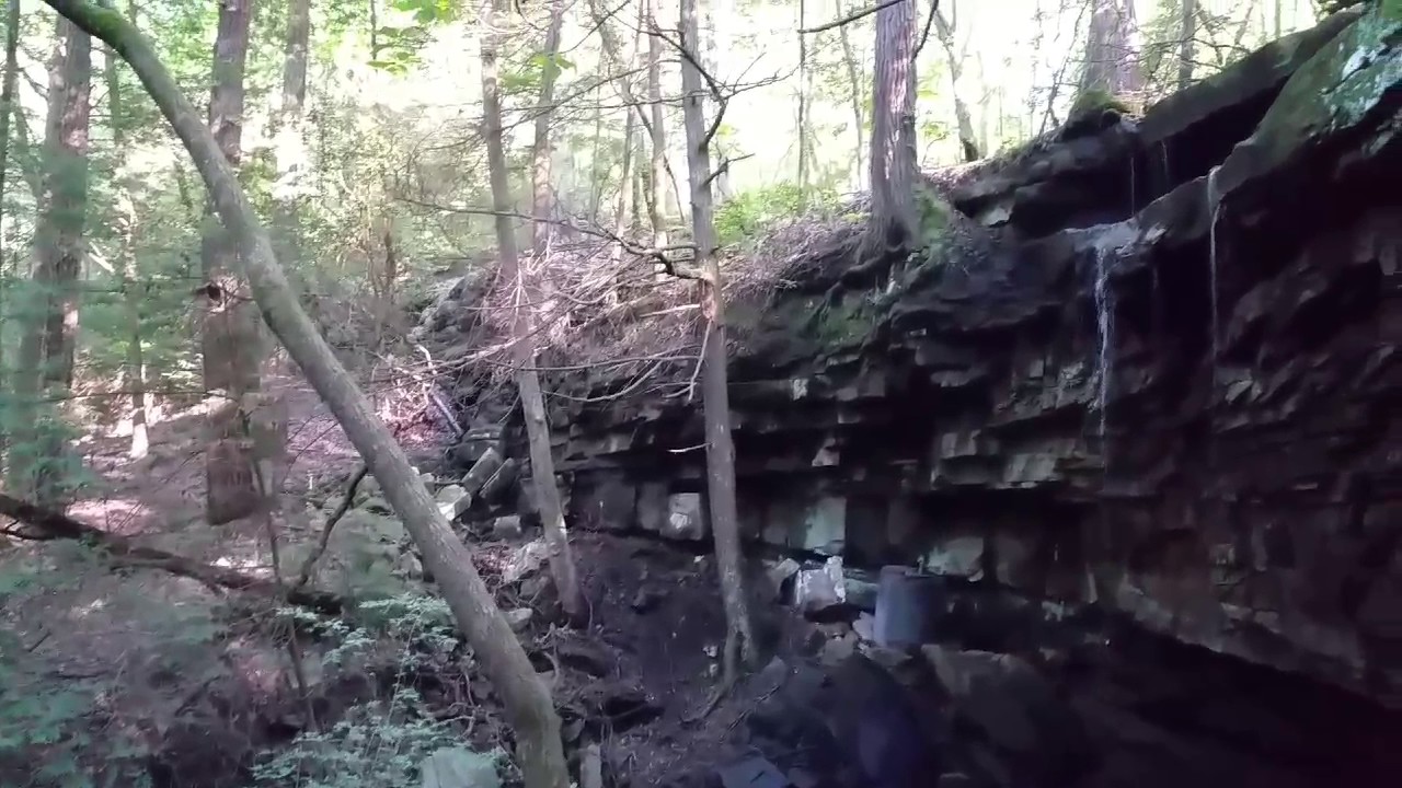 Grundy forest and Fiery Gizzard day hike