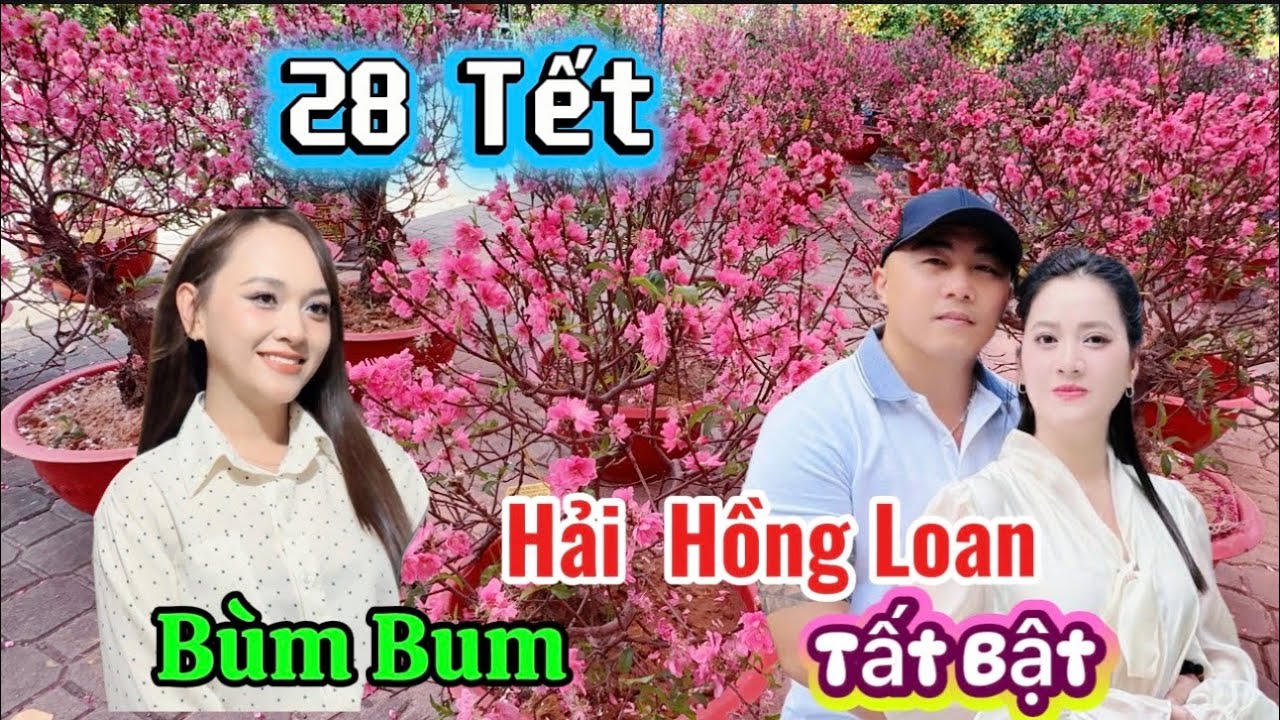 28 Tết Của Nhà Số 5 Hồng Loan Hải Bùm Bum Tất Bật , Hoa Tại Công Viên Gia Định Nở Đẹp Rực Rỡ 