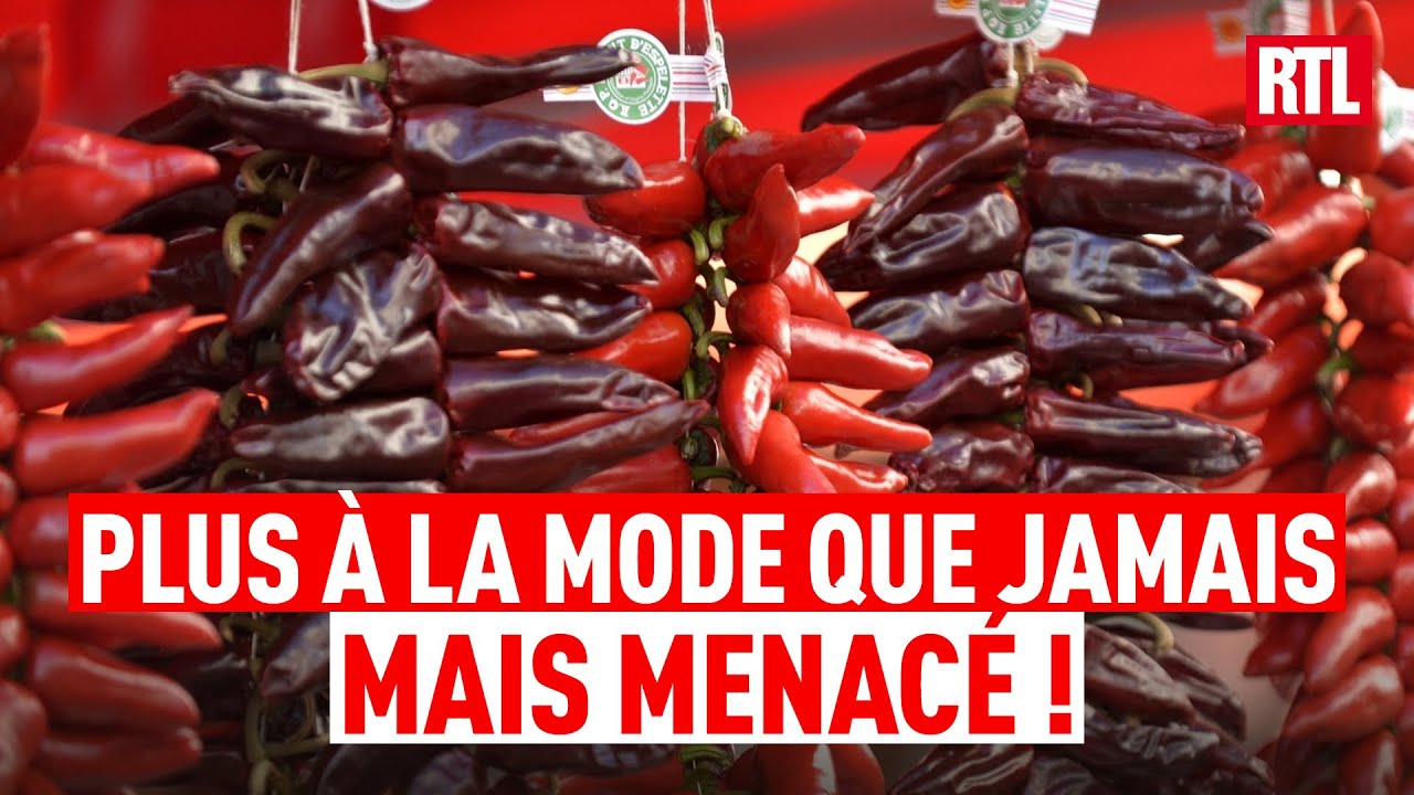 Chronique d'Olivier Dauvers : le piment d'Espelette menacé ?