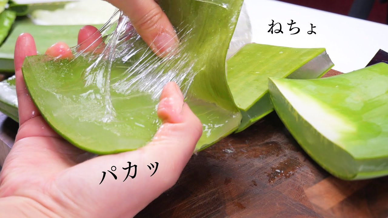 【ASMR】Suuuper Sticky ALOE VERA Cutting Sounds アロエベラを切って剥く【音フェチ】