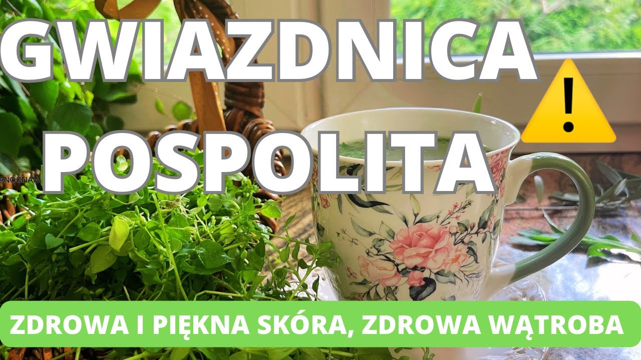 Gwiazdnica pospolita- na salony, a nie do kompostu. Zdrowa i piękna skóra, zdrowa wątroba