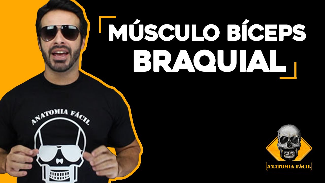 M&Uacute;SCULO B&Iacute;CEPS BRAQUIAL