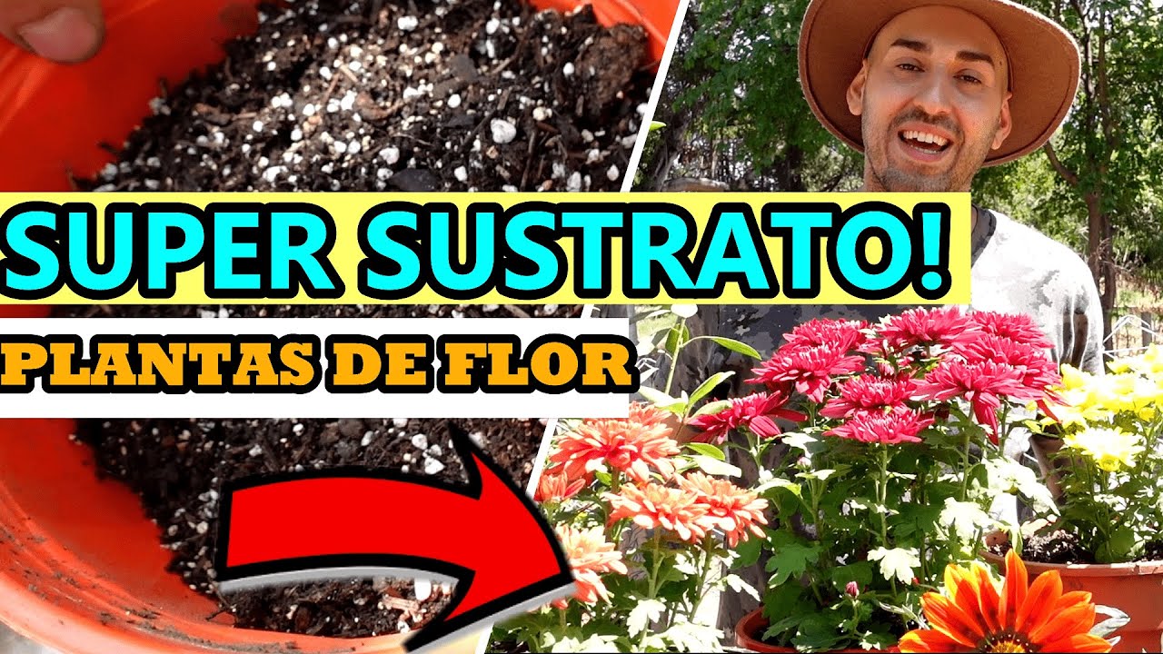 Cómo preparar SUSTRATO CASERO Para PLANTAS | Sustrato Para SUPER FLORACIÓN Garantizada 🌸
