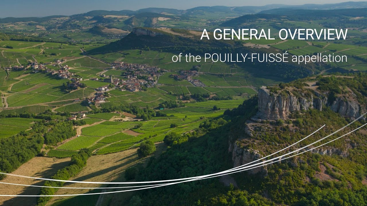 A general overview of the Pouilly Fuiss&eacute; Premier Cru appellation