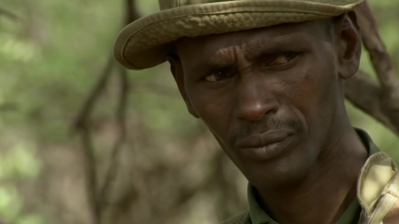 Heartbreaking Truth About Elephant Poaching | This Wild Life | BBC Earth