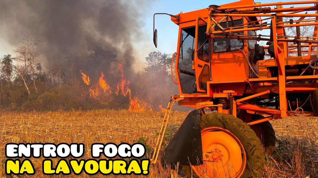 ENTROU FOGO NA NOSSA LAVOURA // CORRERIA COMEÇOU!