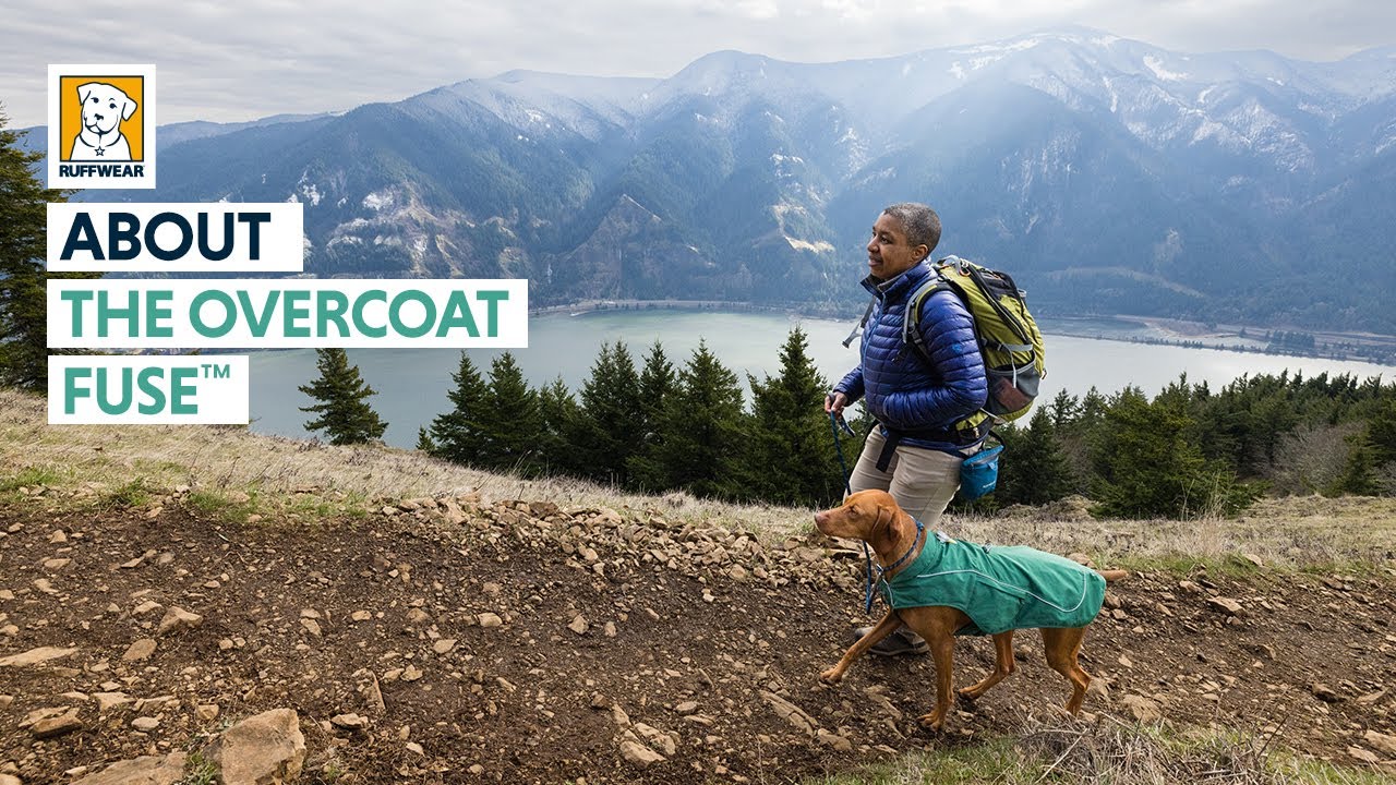 О куртке для собак Ruffwear Overcoat Fuse™ со встроенной шлейкой