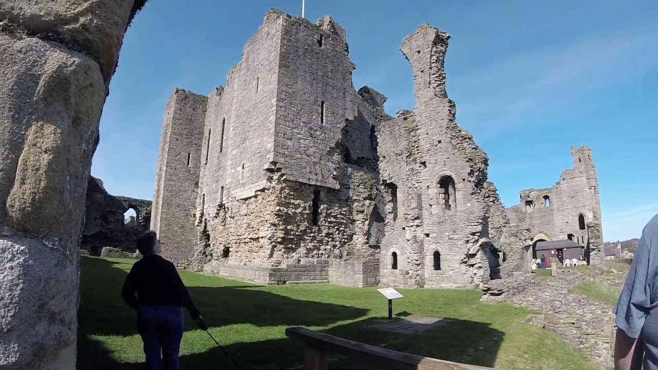 Middleham Castle with the Westies and a Cavaschon!