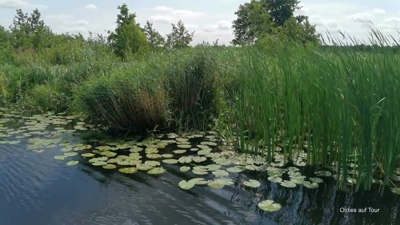 GIETHOORN - Nationalpark Weerribben-Wieden