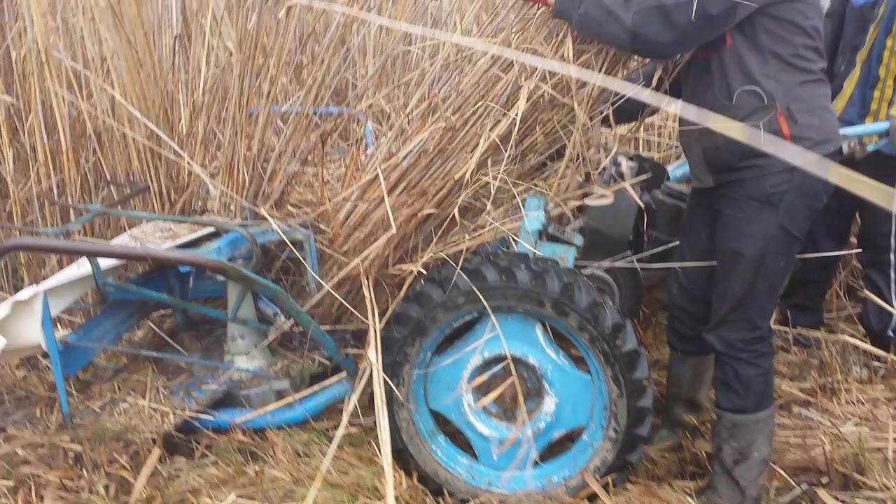 trska kosenje i vezivanje   n&aacute;d v&aacute;g&aacute;s &eacute;s k&ouml;t&eacute;s