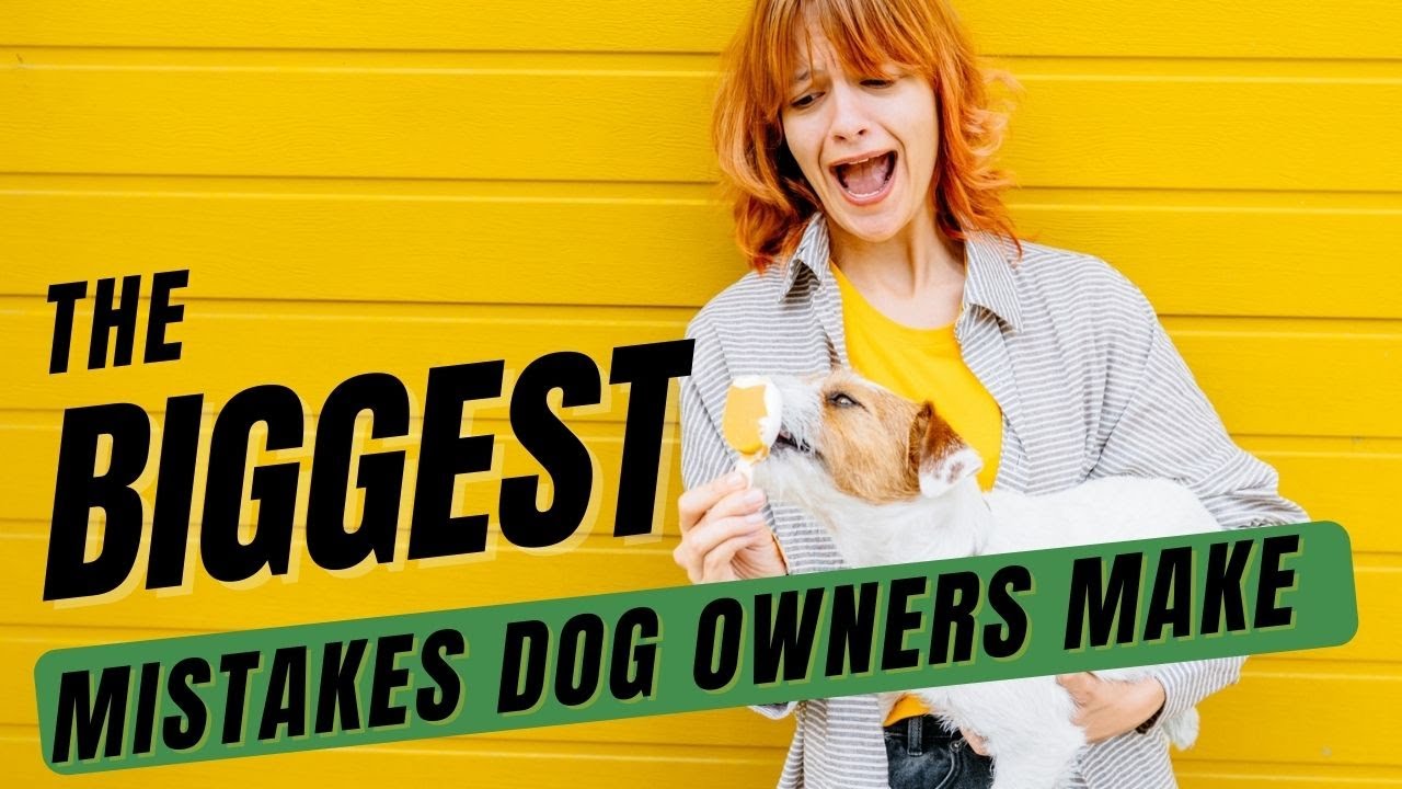 The Top 9 Mistakes Dog Owners Make (A Vet Reveals)