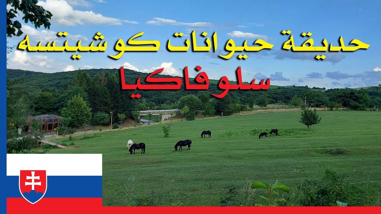 حديقة الحيوانات - كوشيتسه سلوفاكيا