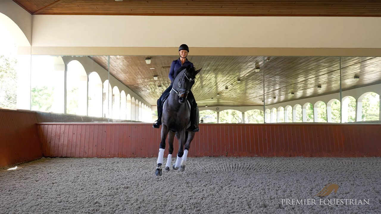 Adrienne Lyle Rides on Premier Equestrian ProTex Arena Footing