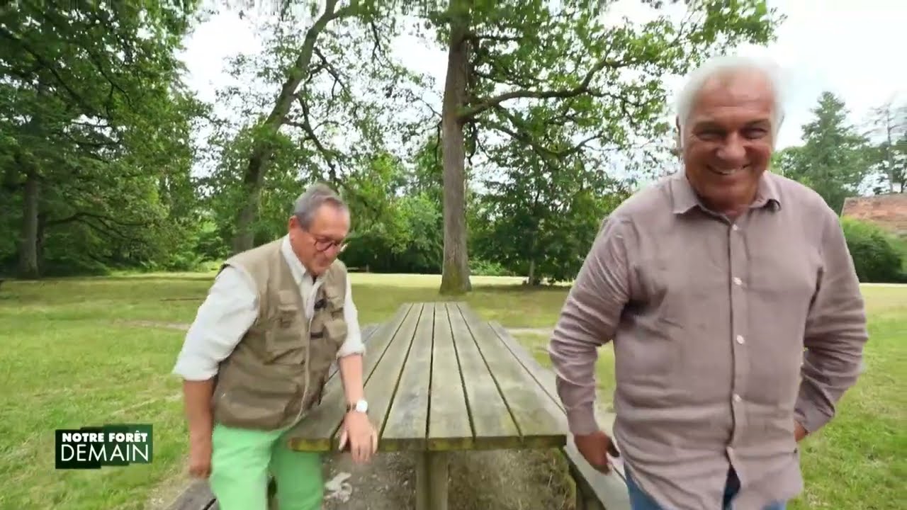 🌳NFD Forêt d'Orléans : Une forêt historique qui a su se réinventer (Emission 4)