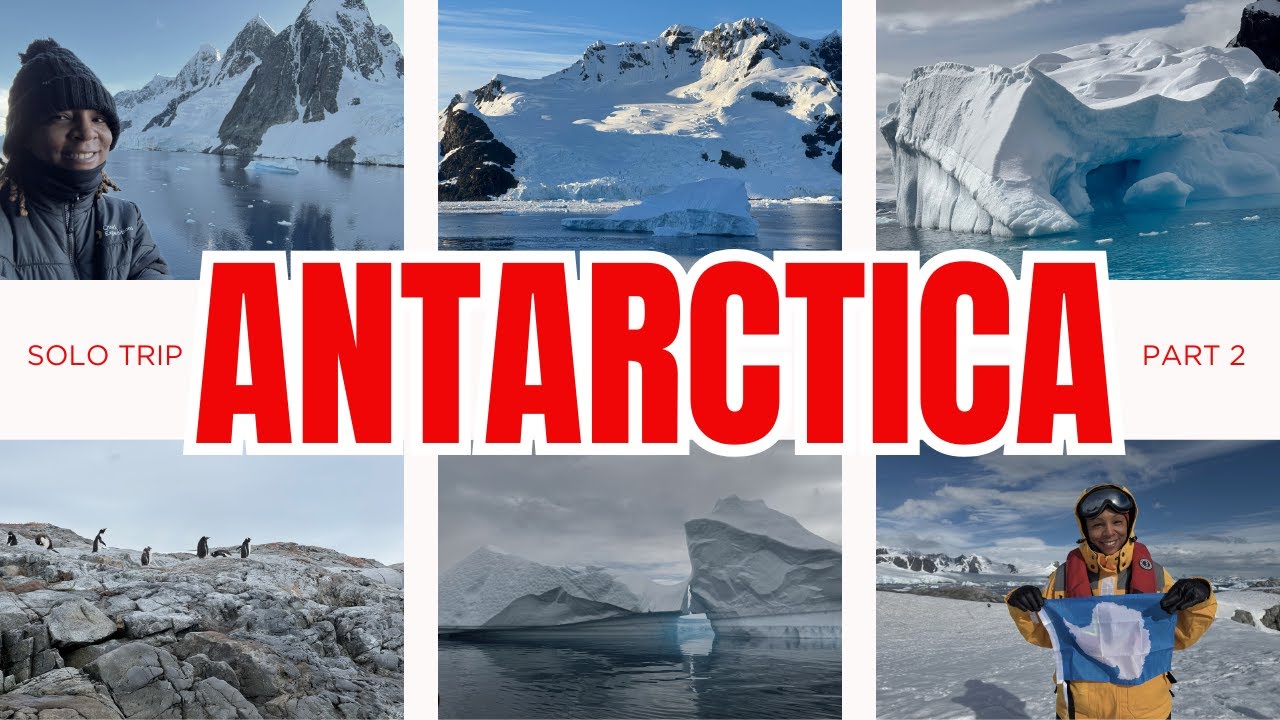 Seal Bit the Boat | Lemaire Channel | Penguins Everywhere | Solo in Antarctica