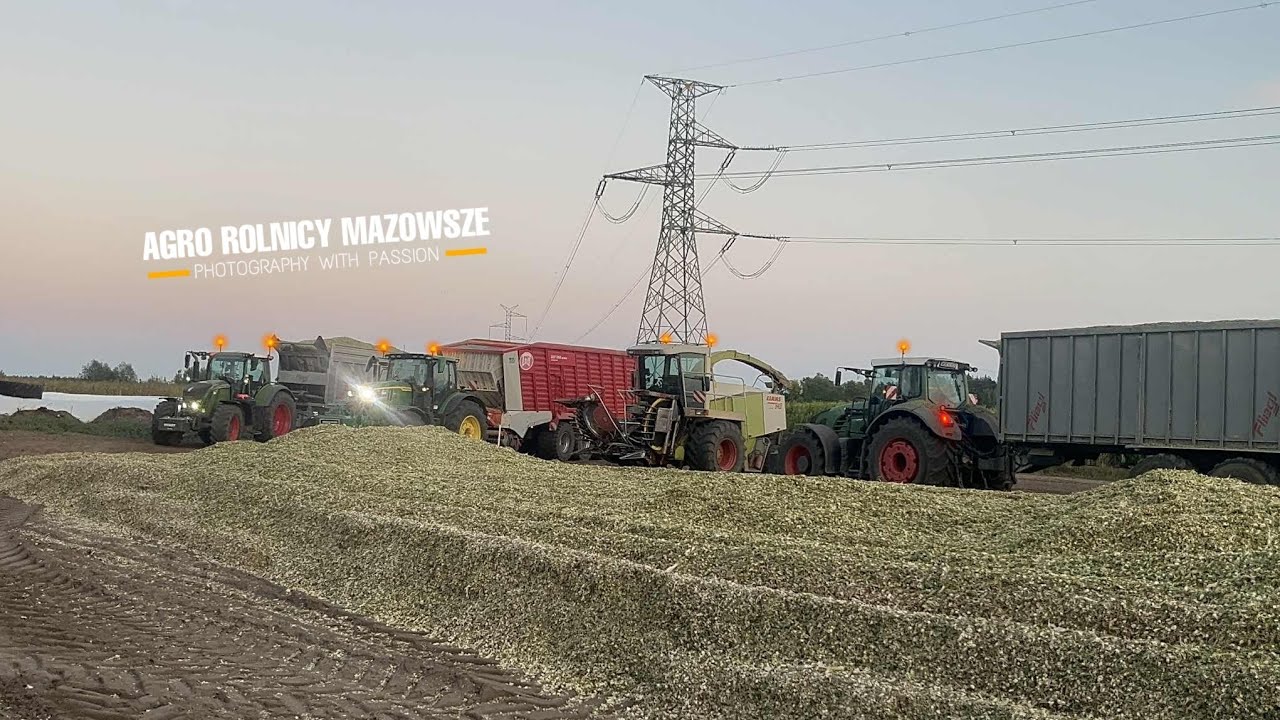 Dziki Kukurydz w Gr Zielonka | Terror na Wsi | Ujęcia z Drogi | 3 Zestawy | ARM 