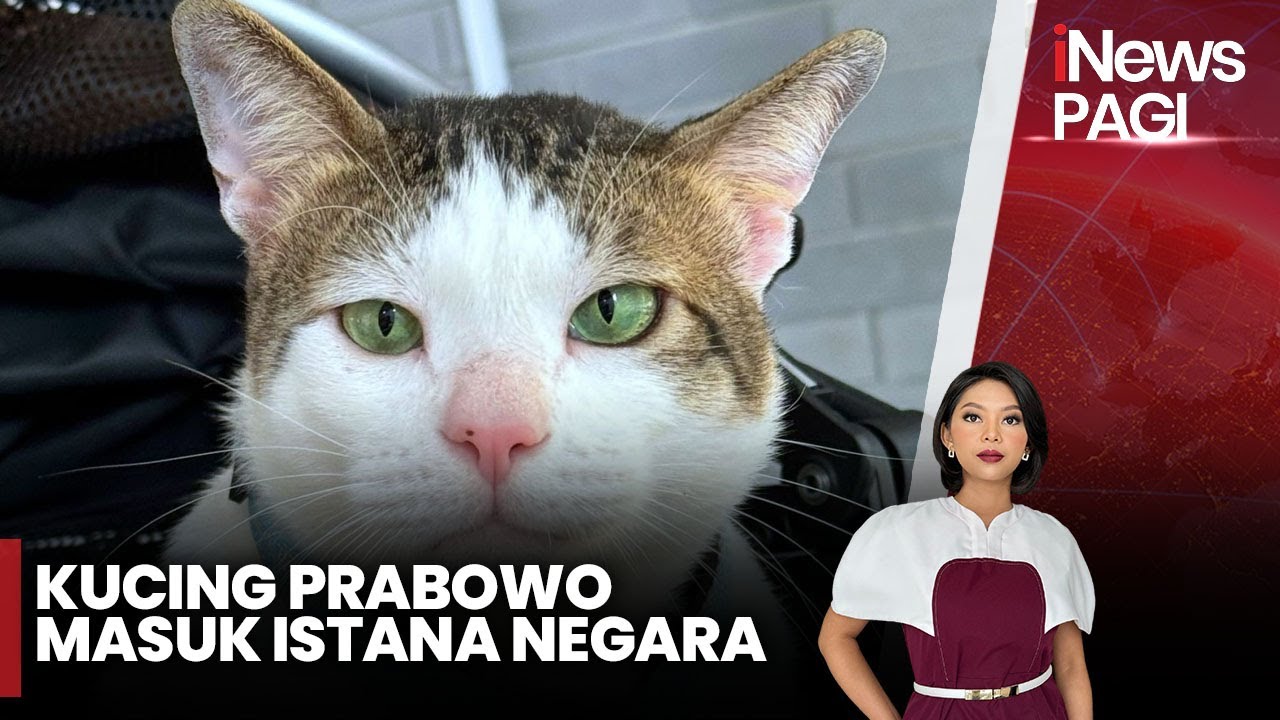 Bobby Kertanegara, Kucing Prabowo yang Ikut Masuk ke Istana - iNews Pagi 21/10