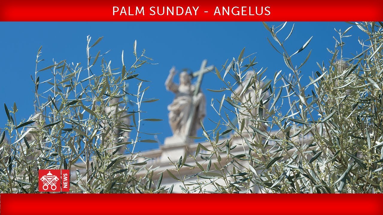 Pope Francis - Celebration of Palm Sunday - Angelus prayer 2019-04-14