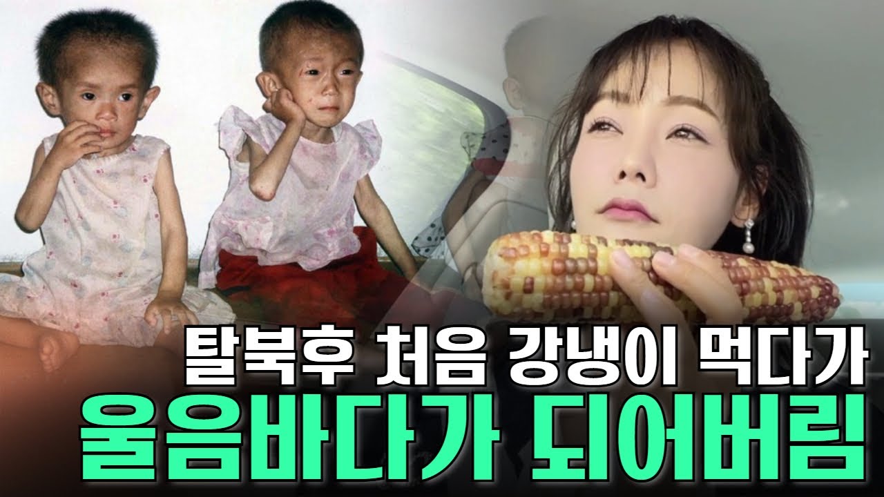 탈북하고 처음 먹는 옥수수에 오열한 탈북1년차 리정혁