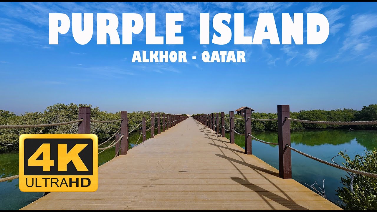 4K | Purple Island - Walk through mangroves - Qatar #purpleisland #mangrove #qatar #visitqatar